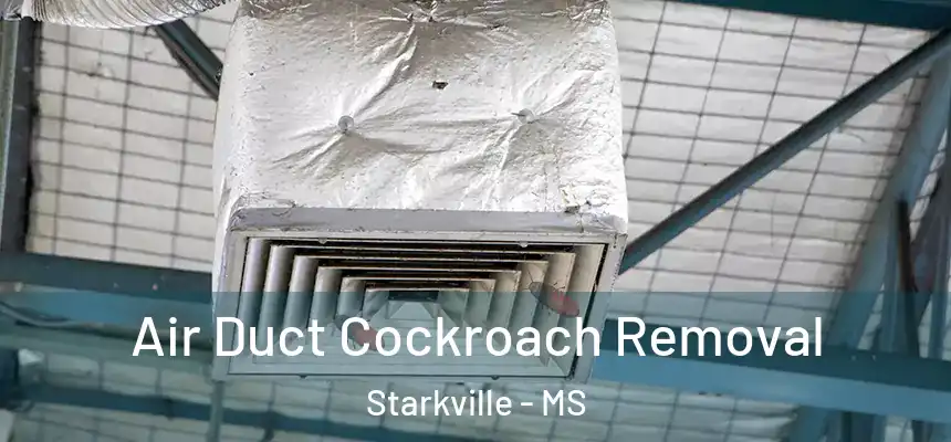 Air Duct Cockroach Removal Starkville - MS
