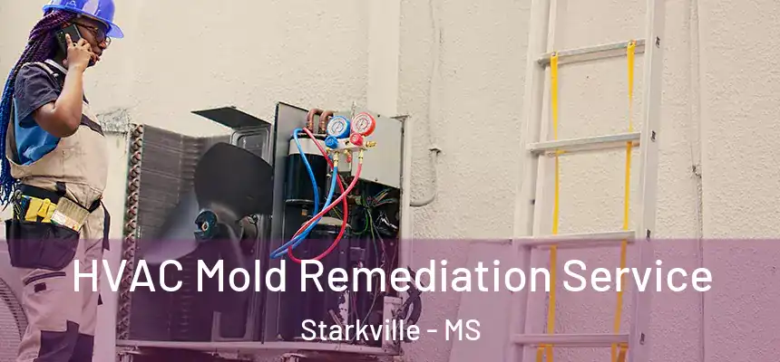  HVAC Mold Remediation Service Starkville - MS