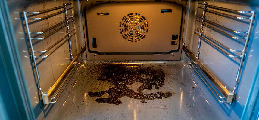 Our Dryer Vent Mold Cleaning Services in Starkville, MS