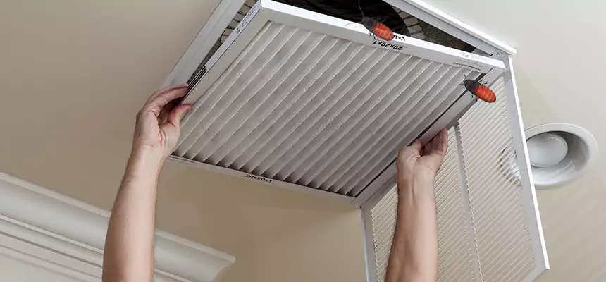 Our Insect Removal from Air Ducts Services in Starkville, MS