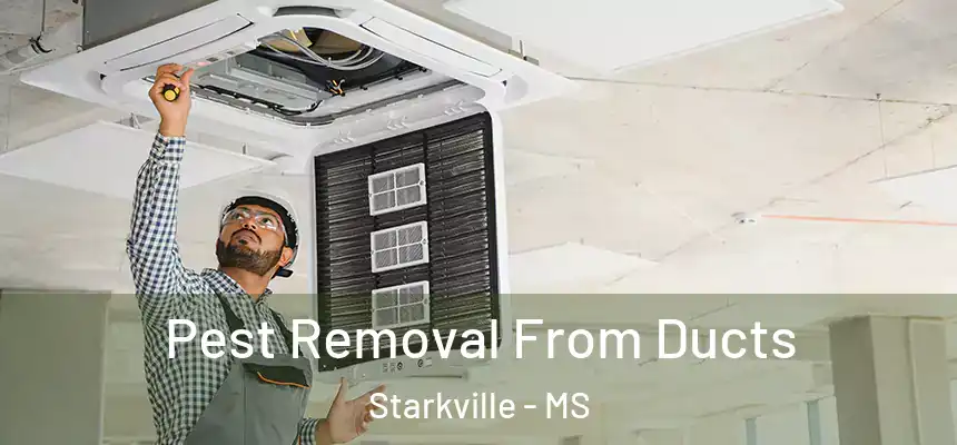 Pest Removal From Ducts Starkville - MS