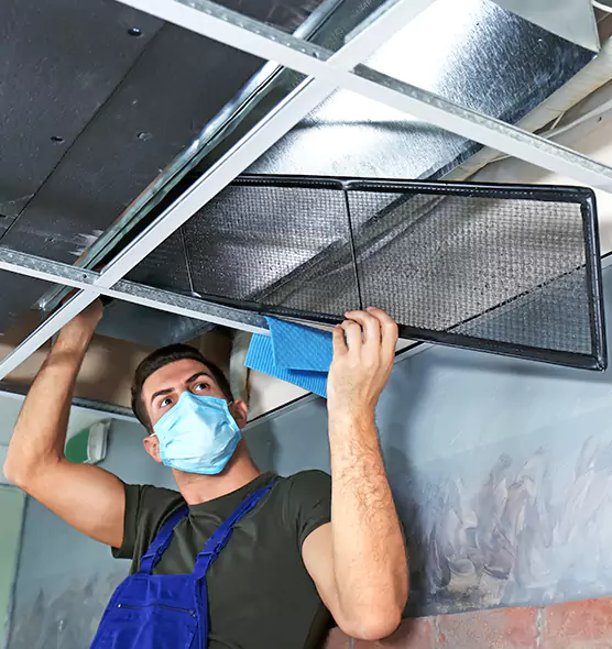 About Air Duct Bacteria Removal in Starkville