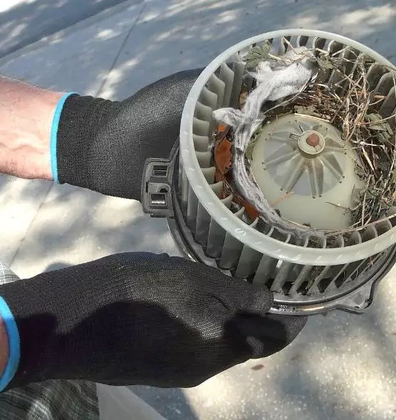 About Air Duct Rat Removal in Starkville, MS