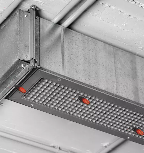 Affordable Insect Removal from Air Ducts in Starkville, MS