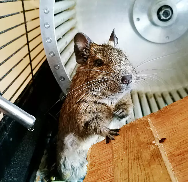 Why Homeowners & Businesses Trust Us Starkville, MS