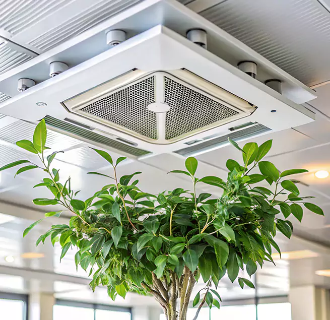 Why Homeowners & Businesses Trust Us in Starkville, MS?